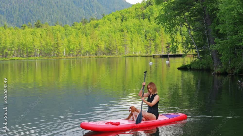 woman supping on a SUP board with a dog on a beautiful lake in the forest. Outdoor activities with pets. Summer rest woman supping on a SUP board with a dog on a beautiful lake in the forest. Outdoor activities with pets. Summer rest
