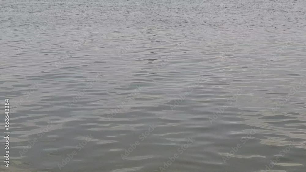 ripples in the water ripples in the water