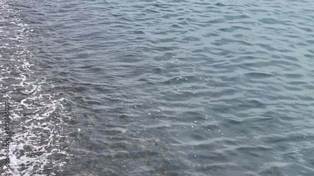 海の波 波打ち際 砂浜 空撮 ドローン移動撮影 海の波 波打ち際 砂浜 空撮 ドローン移動撮影