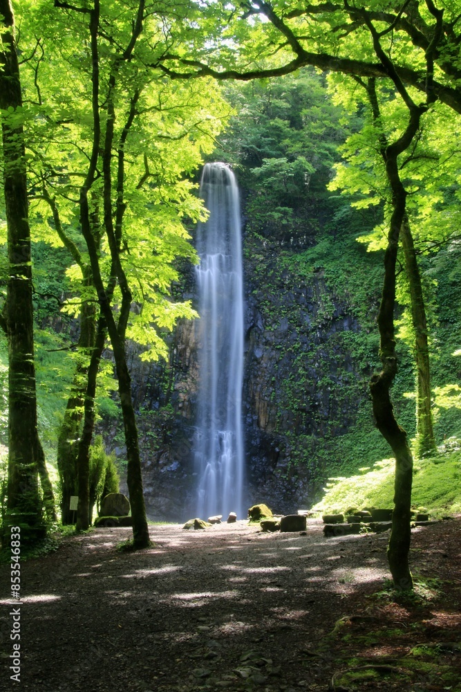 Obraz premium 玉簾の滝・たますだれのたき（山形県・酒田市）