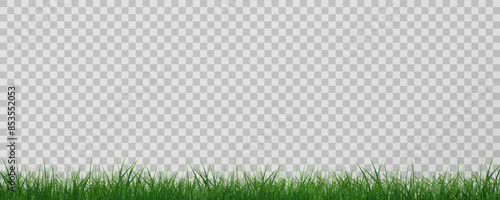 Grass border, vector illustration. Vector grass, lawn. Grass png, lawn png. Green grass with sun glare.	