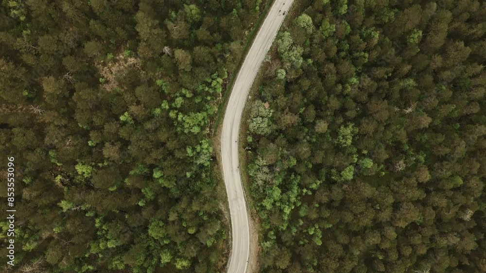 Winding road in mountain forest of Norway, aerial top down view Winding road in mountain forest of Norway, aerial top down view