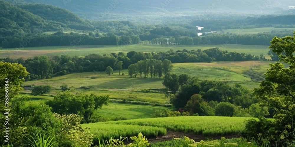 A picturesque valley featuring mixed green tones of agricultural fields, forests, and a soft light filtering through the clouds