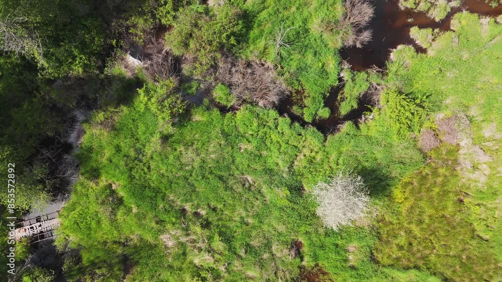 Scenic aerial bird's eye view of creek in wetlands and landscape in Snohomish Washington State Scenic aerial bird's eye view of creek in wetlands and landscape in Snohomish Washington State