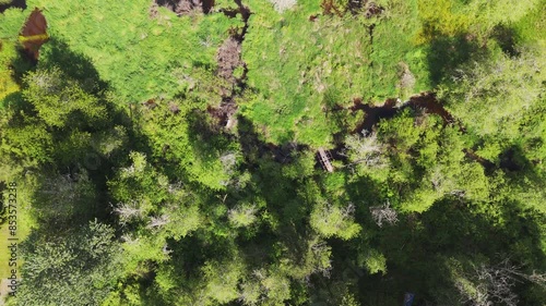 Wallpaper Mural Flying over wetlands and landscapes scenery  in Snohomish Washington State Torontodigital.ca