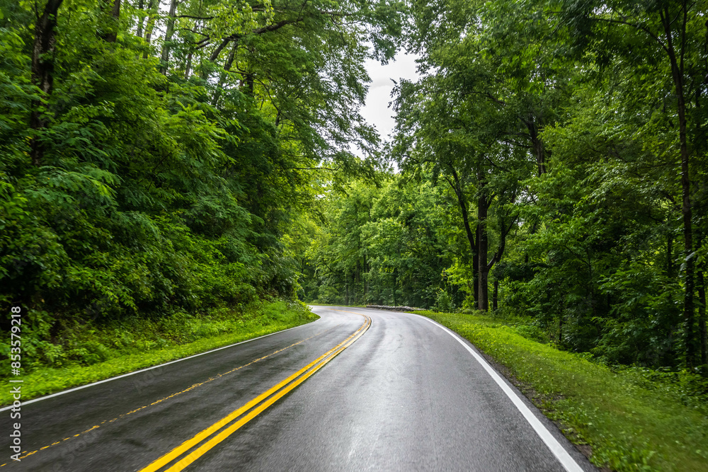 Obraz premium A long way down the road going to Great Smokey Mountains NP, Tennessee
