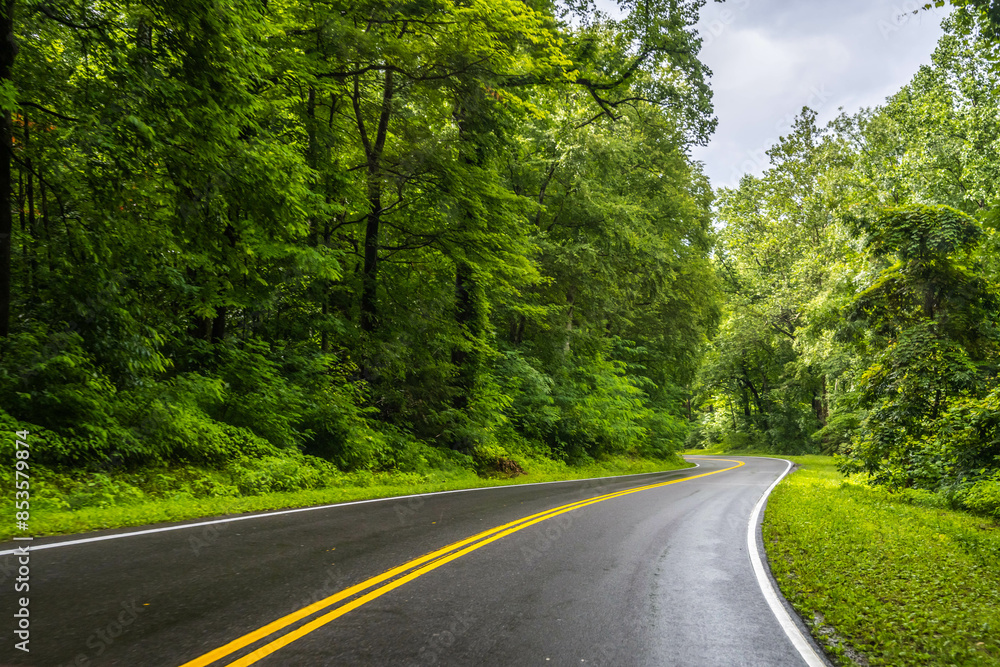 Fototapeta premium A long way down the road going to Great Smokey Mountains NP, Tennessee