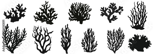 Seaweed silhouettes, coral black icon. Abstract organic shape, underwater plant, matisse element, cute sea doodle. Cartoon marine floral set isolated on white background.