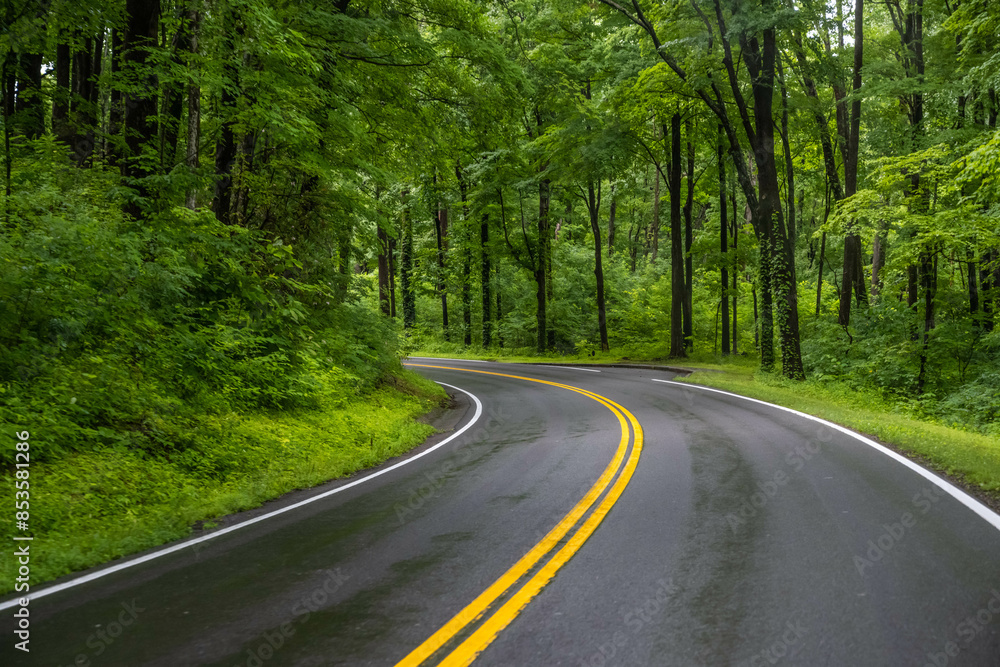 Obraz premium A long way down the road going to Great Smokey Mountains NP, Tennessee