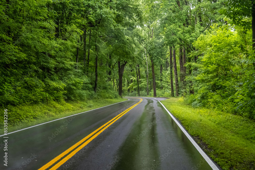 Obraz premium A long way down the road going to Great Smokey Mountains NP, Tennessee