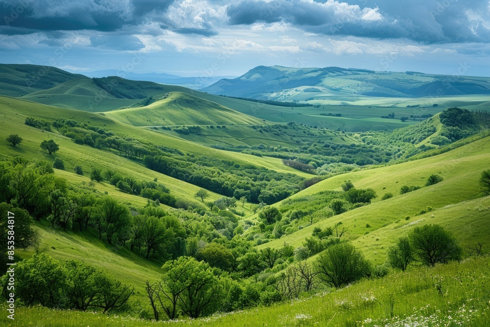 Naklejka premium A Green Valley Surrounded by Trees and Rolling Hills