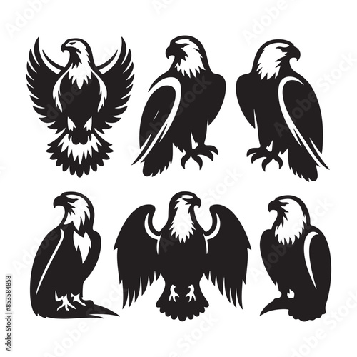 vector Bald Eagle set silhouette black in white background