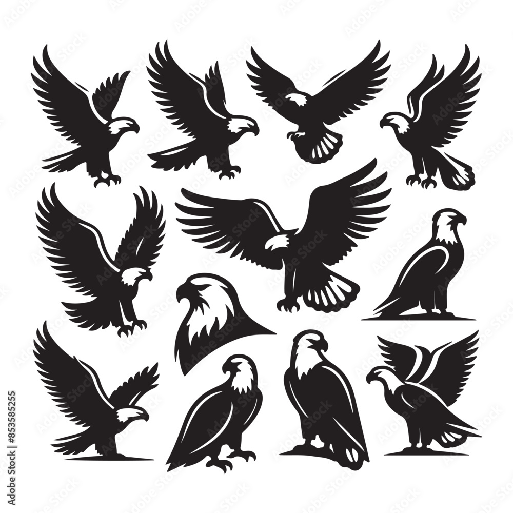 vector Bald Eagle set silhouette black in white background vector Bald Eagle set silhouette black in white background