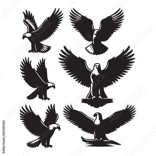 vector Bald Eagle set silhouette black in white background