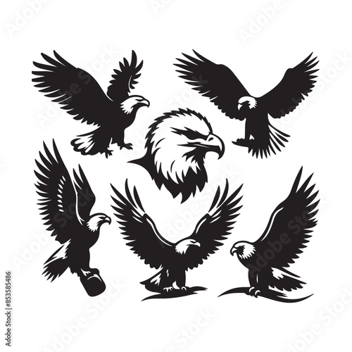 vector Bald Eagle set silhouette black in white background