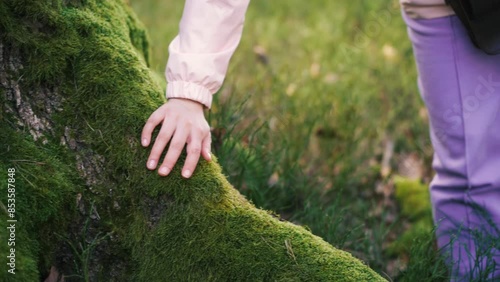 Hand touches mossy trunk in sunlit forest