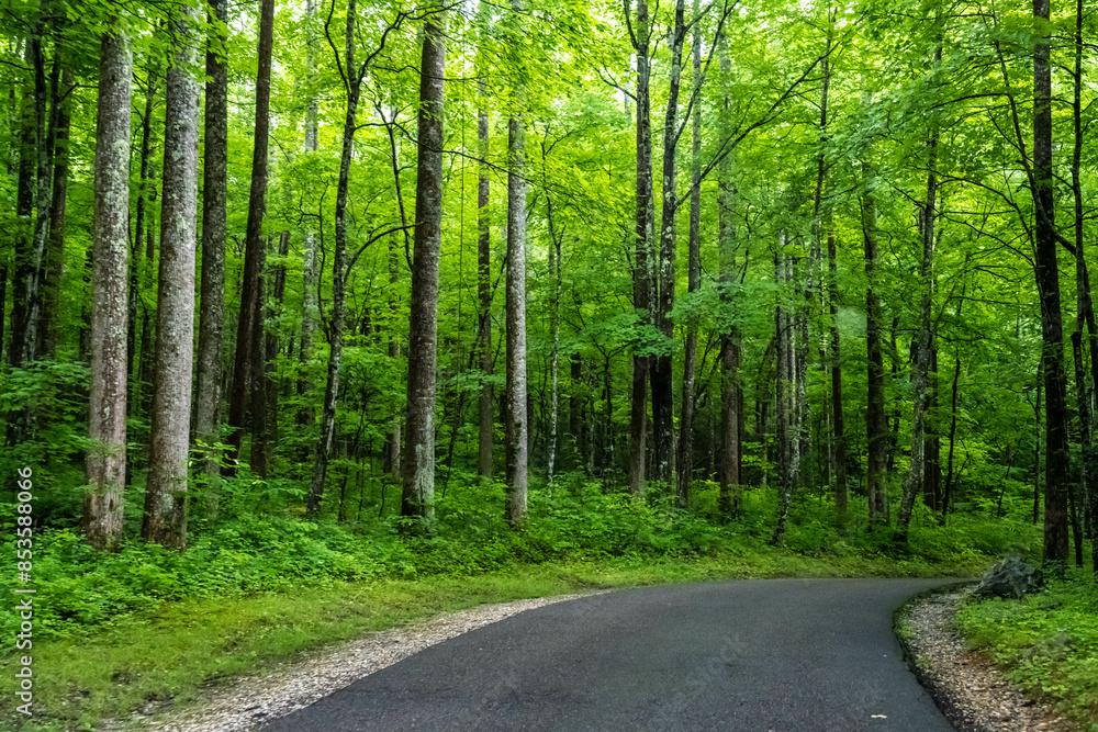 A long way down the road going to Great Smokey Mountains NP, Tennessee A long way down the road going to Great Smokey Mountains NP, Tennessee