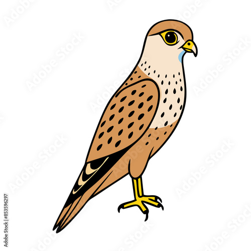 detailed vector illustration of a peregrine falcon with its wings folded, perched.