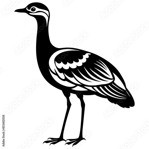 Elegant Arabian Bustard Bird Silhouette Vector Illustration Wildlife Design. photo