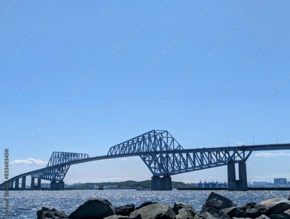 Obraz premium 若洲海浜公園から見た東京ゲートブリッジ