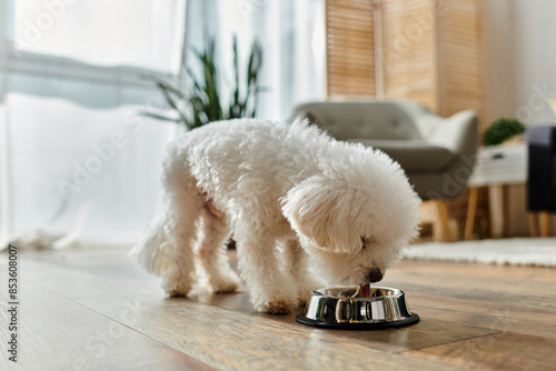 Wallpaper Mural Small white dog joyfully eats from metal bowl. Torontodigital.ca