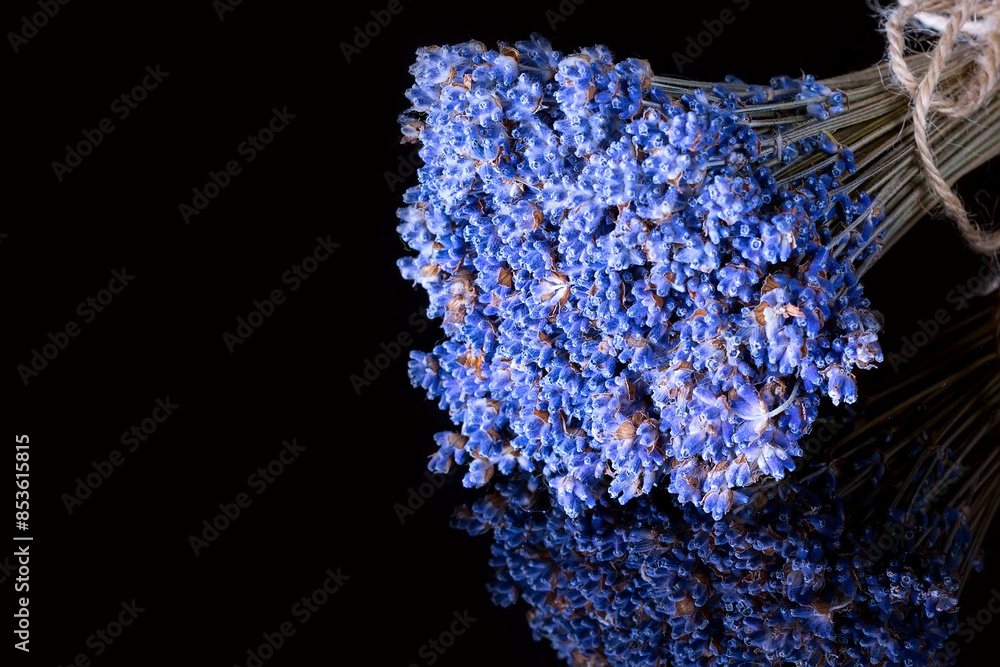 Naklejka premium Bunch of lavender flowers on black background with reflection