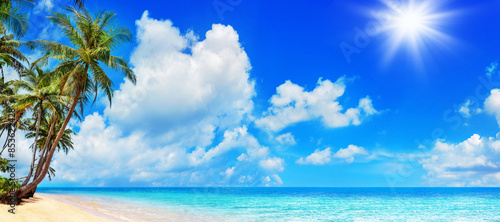 Fototapeta Naklejka Na Ścianę i Meble -  Sea beach panorama, tropical island panoramic landscape, turquoise ocean water, coconut palm tree leaves, sand blue sky sun white cloud, summer holiday, vacation, travel, Caribbean, Thailand, Maldives