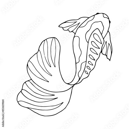 Black line graphics of fish. Outline illustration with sea animals. Hand drawn graphics. Undersea world. Ocean dwellers. Stylized linear minimalist sketch of children's coloring book in doodle style