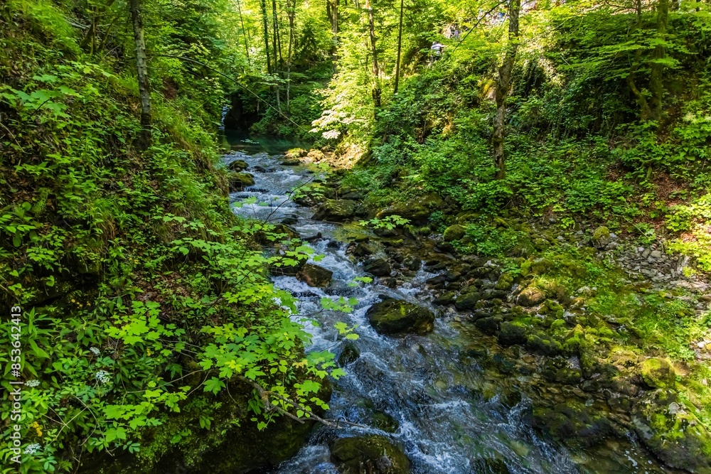 Source of the Kamachnik Stream in the Gorski Kotar region, Croatia Source of the Kamachnik Stream in the Gorski Kotar region, Croatia