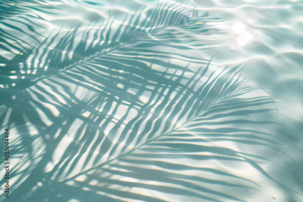 Palm tree leaves casting shadows on a turquoise water background creating a summery and relaxing atmosphere Palm tree leaves casting shadows on a turquoise water background creating a summery and relaxing atmosphere