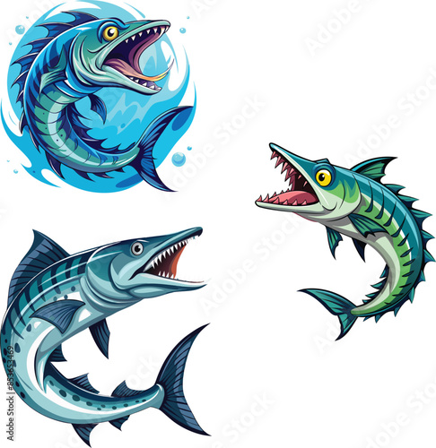 saltwater predator barracuda Web-