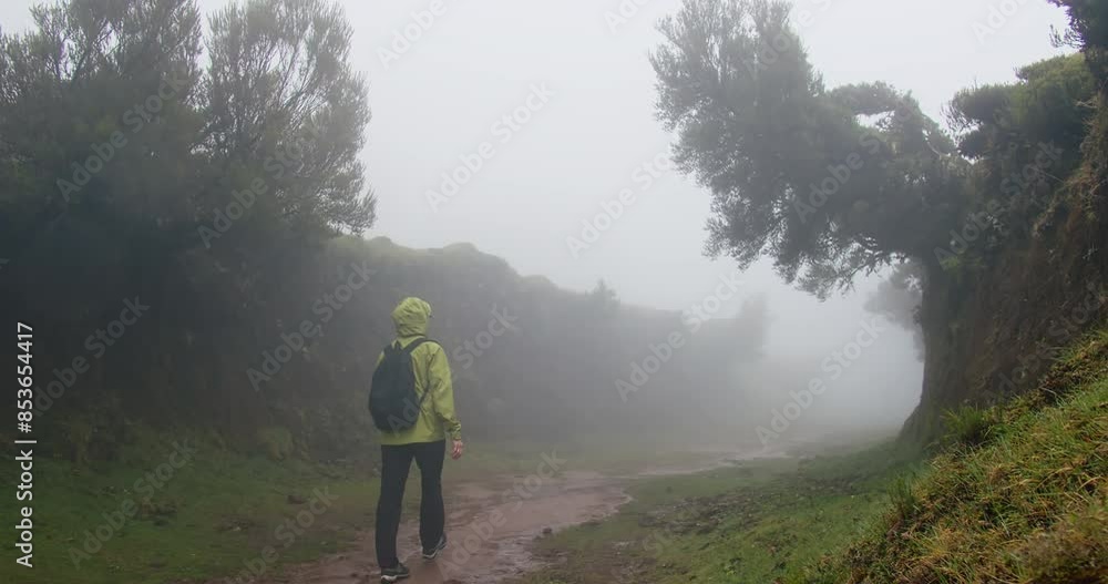 Female tourist in the Fanal forest on the island of Madeira, where she enjoys the atmosphere of fog and mystical environment Female tourist in the Fanal forest on the island of Madeira, where she enjoys the atmosphere of fog and mystical environment