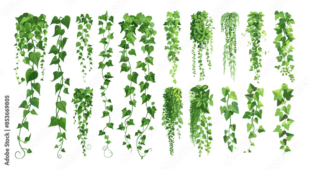 Green ivy cartoon vector set. Grape liana stems shoots climbing leaves plants room garden decorative flora isolated on white background Green ivy cartoon vector set. Grape liana stems shoots climbing leaves plants room garden decorative flora isolated on white background