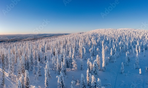Obraz na płótnie winter landscape with snow w salonie