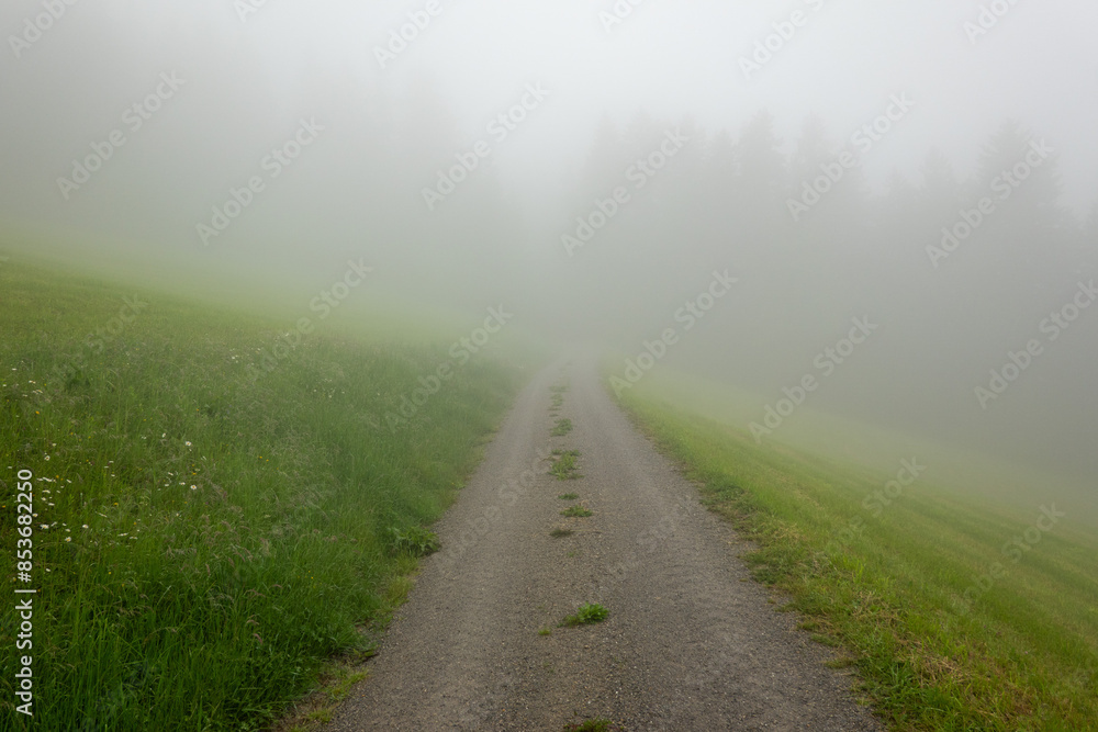 Gravel road in the fog . Schotterstraße im Nebel Gravel road in the fog . Schotterstraße im Nebel