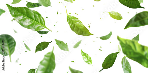 Green tea leaves flying in the air on white background