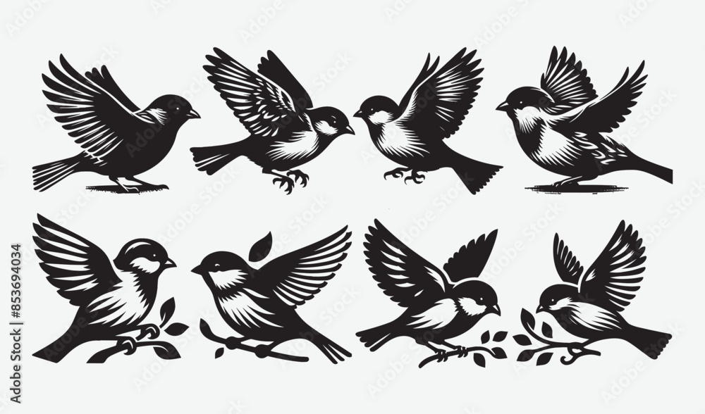 Obraz premium Birds Silhouette Vector Collection Hand drawn
