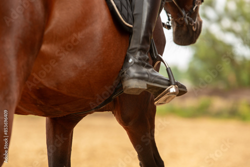 Canvas Print rider's leg, horse's side, stirrup, stirrup, saddle, dressage, human-horse inter