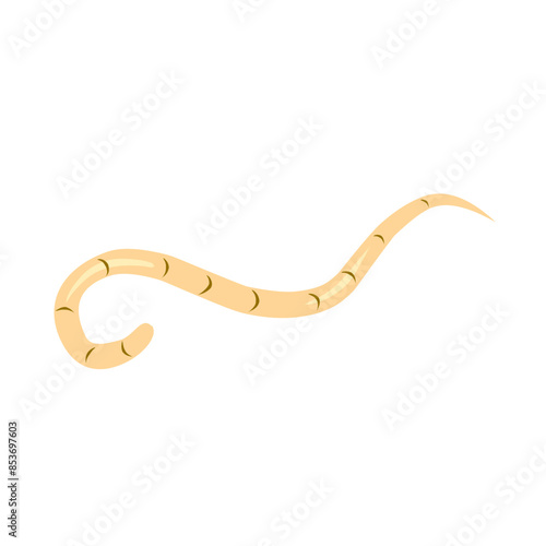 intestinal worm vector icon