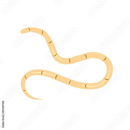 intestinal worm vector icon