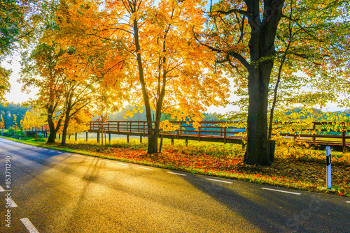 Herbstlandschaft im Park – Wald bei Sonnenschein #853711290