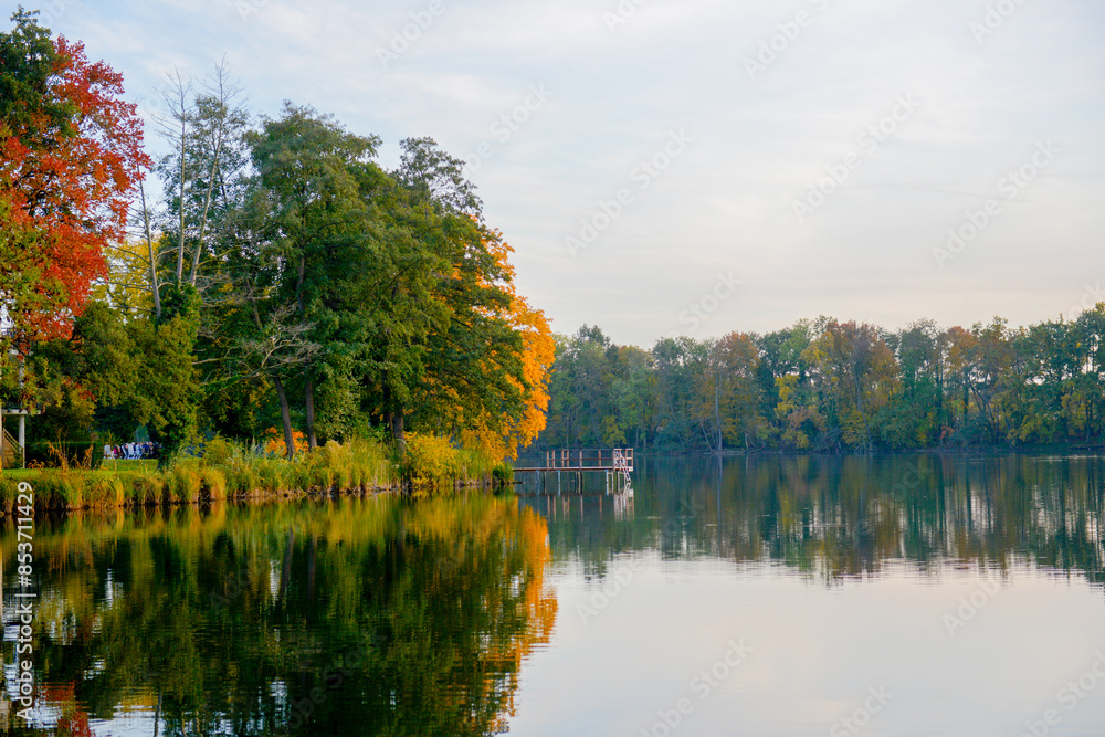 Fototapeta premium Herbstlandschaft im Park – Wald bei Sonnenschein