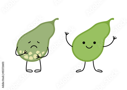 Gallbladder sick sad with stones and happy healthy character. Cholecystitis, gallstone disease. Vector illustration