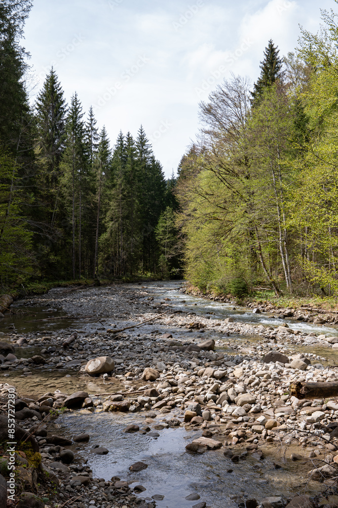 mountain river in the forest - Starzlachklamm, Allgäu, Germany mountain river in the forest - Starzlachklamm, Allgäu, Germany