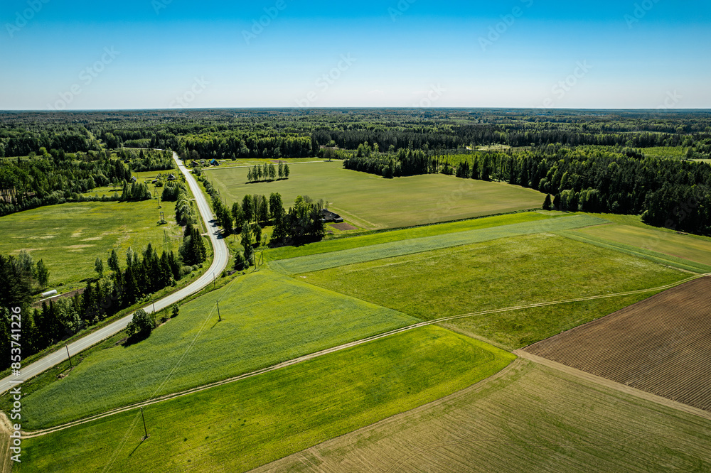 An aerial view showcasing lush green fields and dense forests under a clear blue sky. A winding road cuts through the landscape, connecting distant farmlands. Copy space in the sky area. An aerial view showcasing lush green fields and dense forests under a clear blue sky. A winding road cuts through the landscape, connecting distant farmlands. Copy space in the sky area.