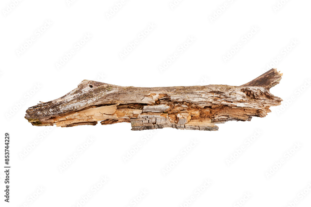 Broken wooden stick isolated on white background Broken wooden stick isolated on white background