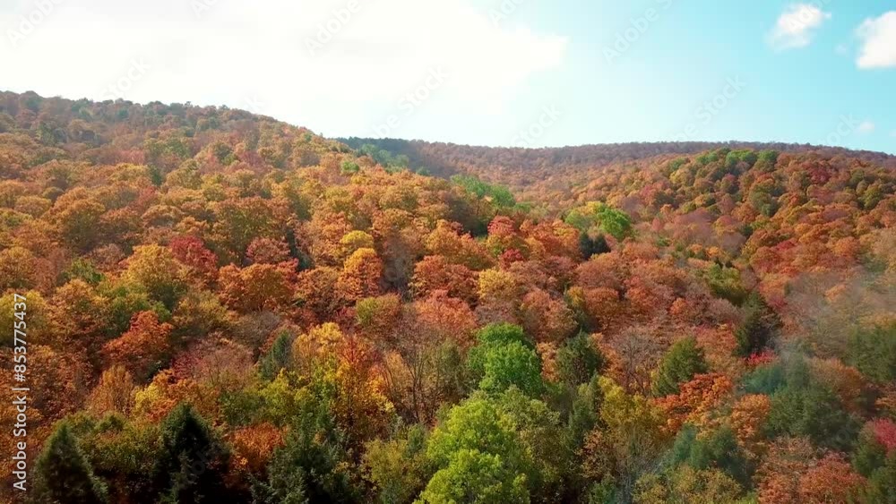 4K drone video autumn fall foliage season colorful leaves changing and trees in the mountains and hills from above in Vermont and New England. 4K drone video autumn fall foliage season colorful leaves changing and trees in the mountains and hills from above in Vermont and New England.