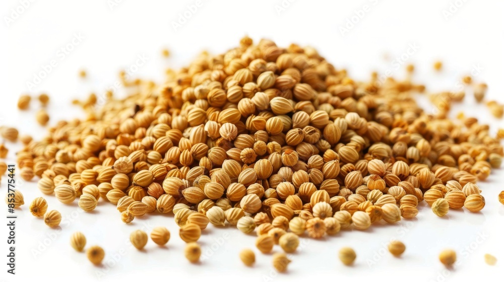 Coriander Seeds Generative AI Coriander Seeds Generative AI