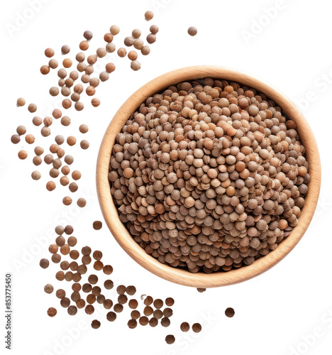 PNG Lentils seeds vegetable lentil plant.