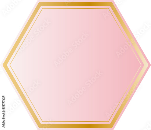 Golden hexagon pink background border
